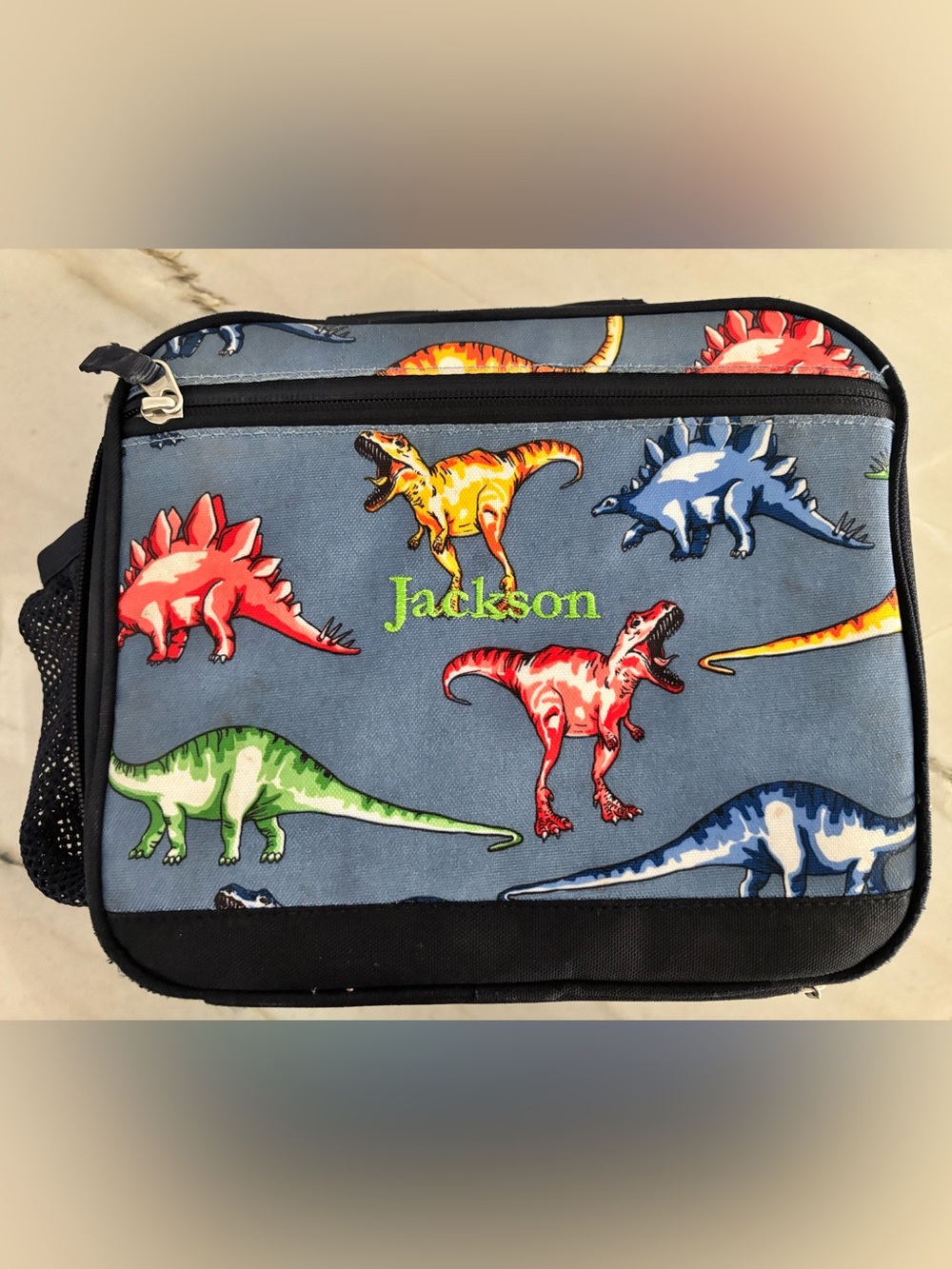 Pottery Barn Kids Blue Dinosaur Lunch Bag with Multicolor Dinosaurs